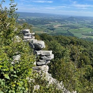 Meet your Posher, Ted